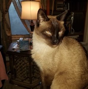 Meet your Posher, Lori